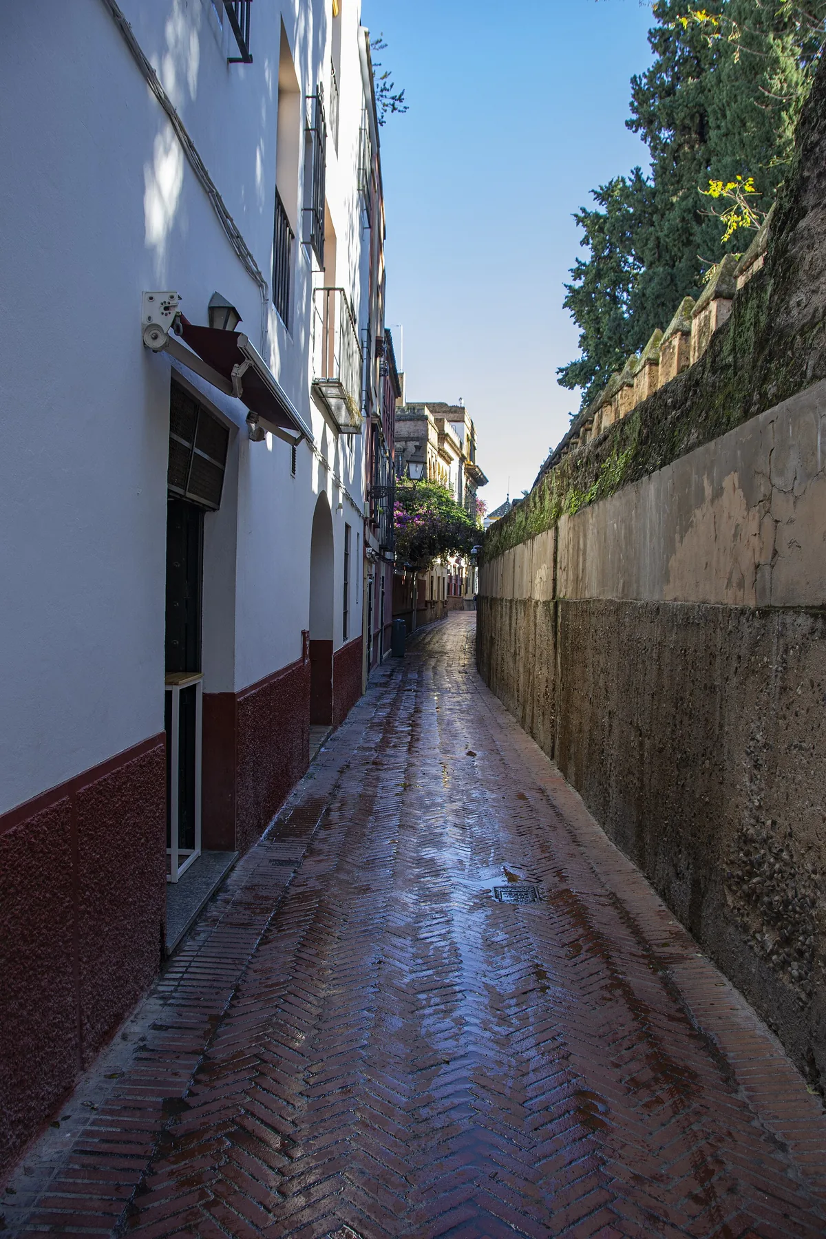 A narrow brick-paved lane beside the old wall on Callejón del Agua in Seville.